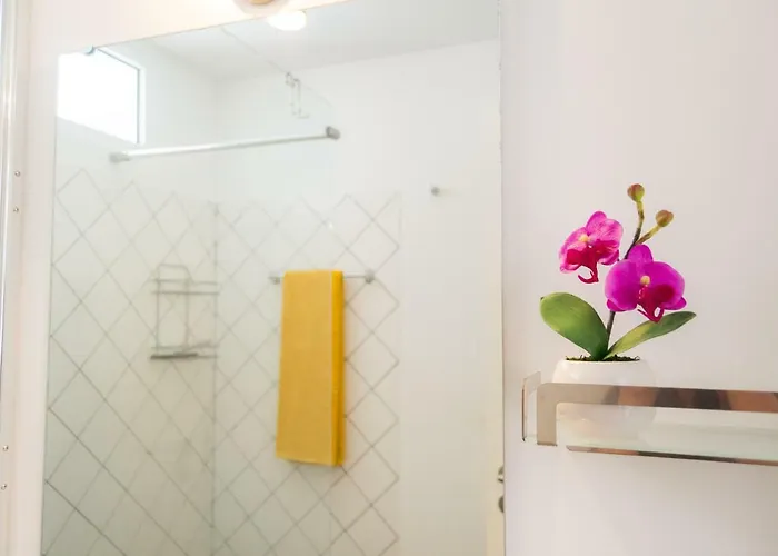 Cozy - Historic Center Of Funchal, Madeira דירה